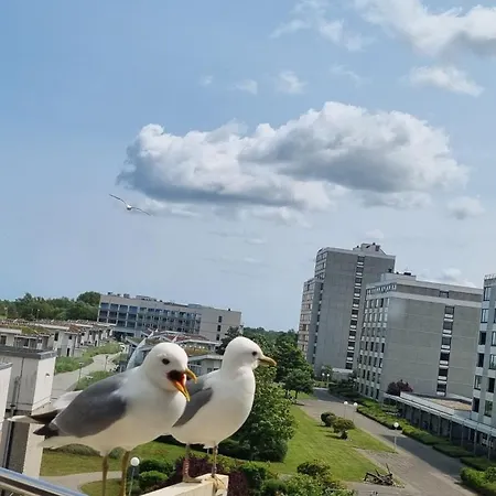 Optimist Sunlife Ostsee